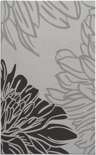 asha rug - item 657334