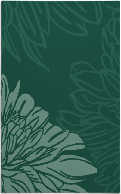 asha rug - item 657348