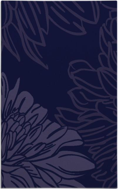 asha rug - item 657374