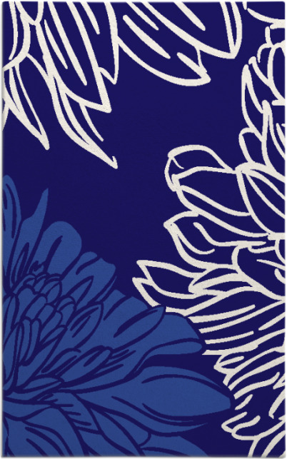 asha rug - item 657393