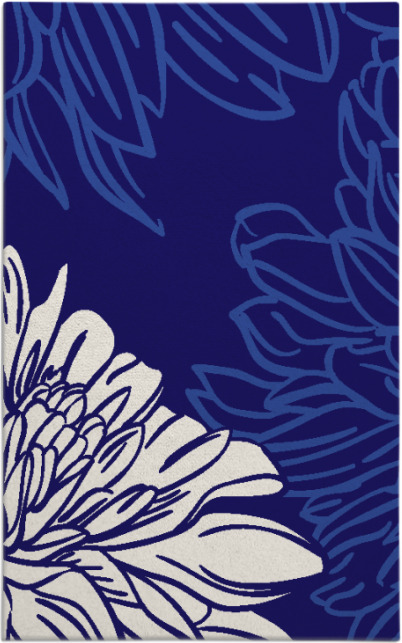 asha rug - item 657395