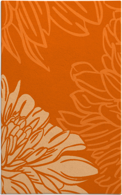 asha rug - item 657550