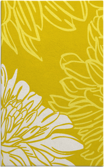 asha rug - item 657565