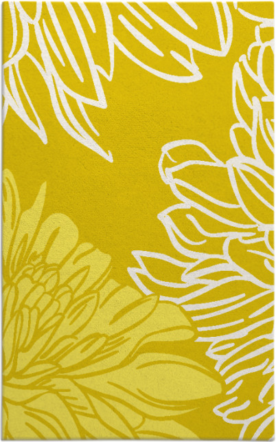 asha rug - item 657567