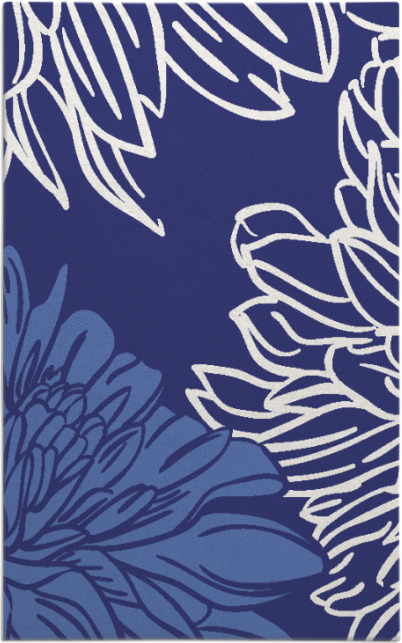 asha rug - item 657571