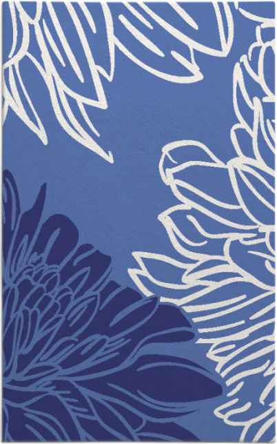 asha rug - item 657572