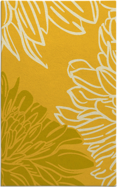 asha rug - item 657579