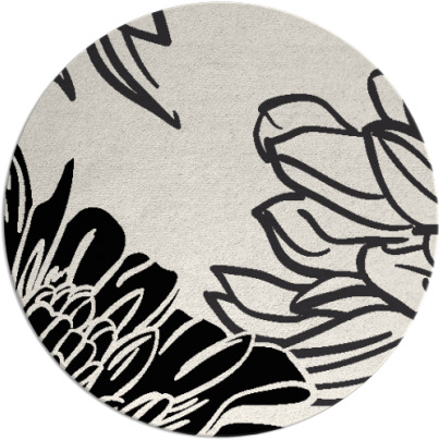 asha rug - item 657645