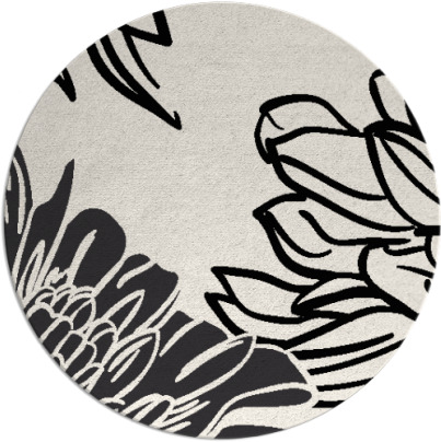 asha rug - item 657647