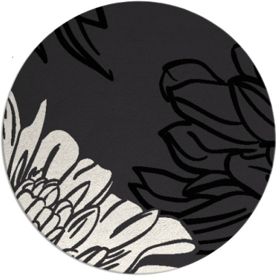 asha rug - item 657648