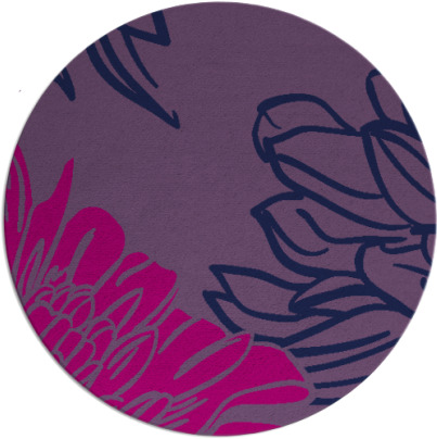 asha rug - item 657672