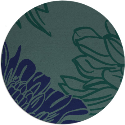 asha rug - item 657673