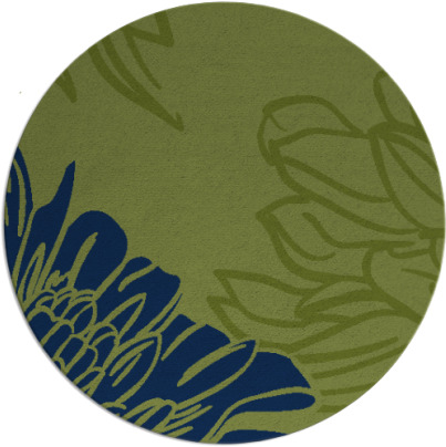 asha rug - item 657677