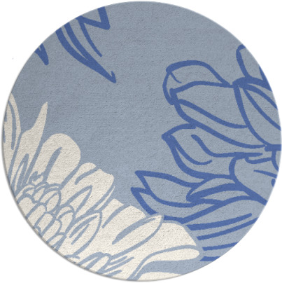 asha rug - item 657684