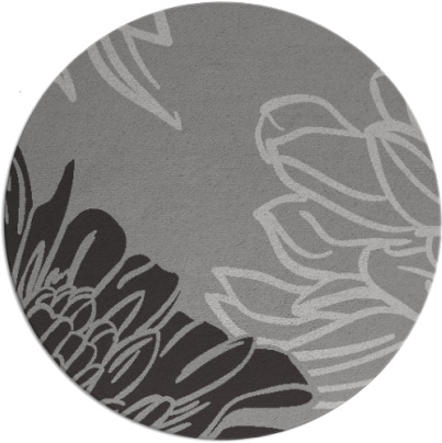 asha rug - item 657688