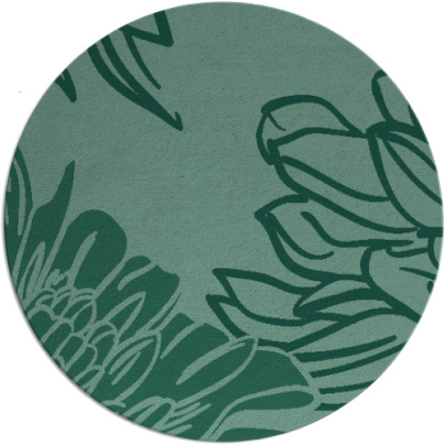 asha rug - item 657697