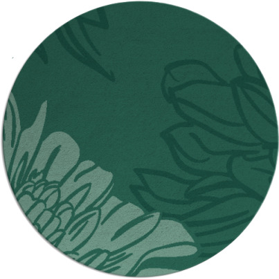 asha rug - item 657698