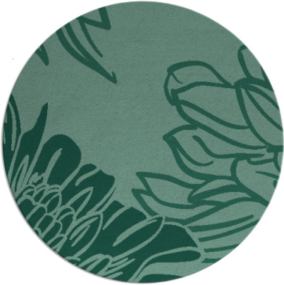 asha rug - item 657699