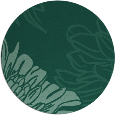 asha rug - item 657700