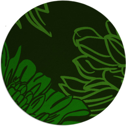 asha rug - item 657709