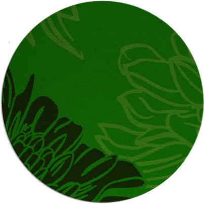 asha rug - item 657710