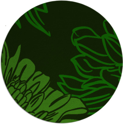 asha rug - item 657711