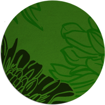 asha rug - item 657712