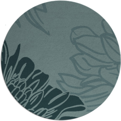 asha rug - item 657716