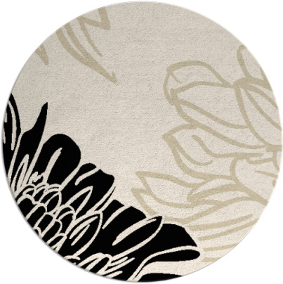 asha rug - item 657718