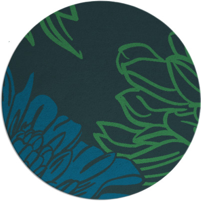 asha rug - item 657721