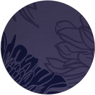 asha rug - item 657725