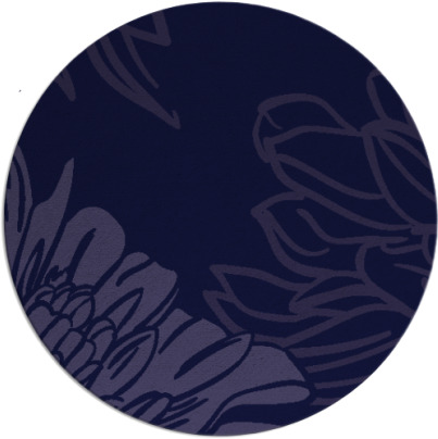 asha rug - item 657726