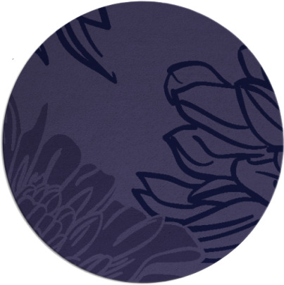 asha rug - item 657727