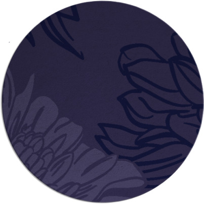asha rug - item 657728