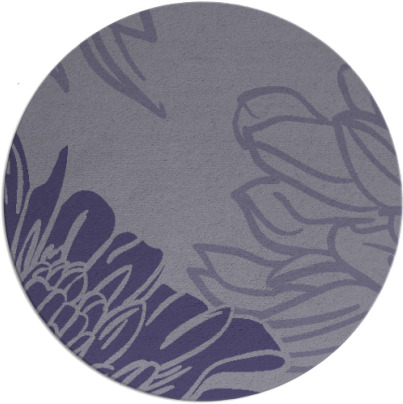 asha rug - item 657730