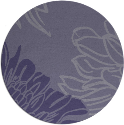 asha rug - item 657732