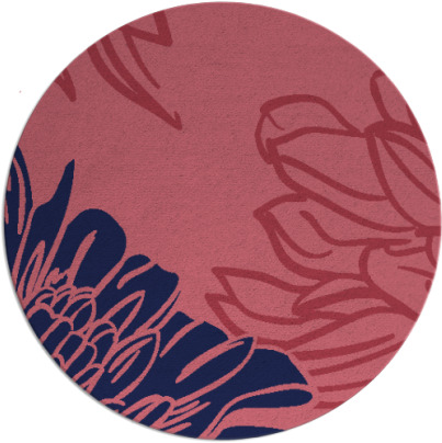 asha rug - item 657733