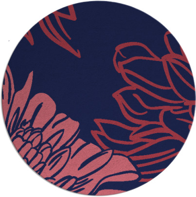 asha rug - item 657734