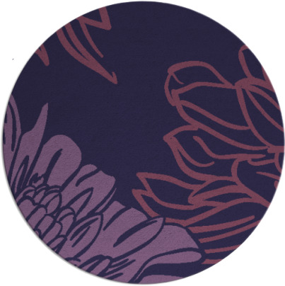 asha rug - item 657738