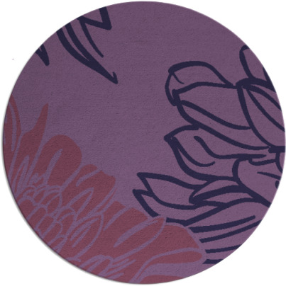 asha rug - item 657739