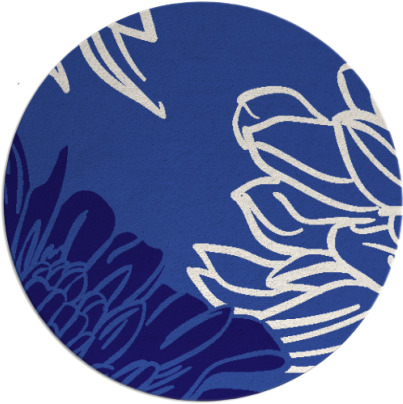 asha rug - item 657746