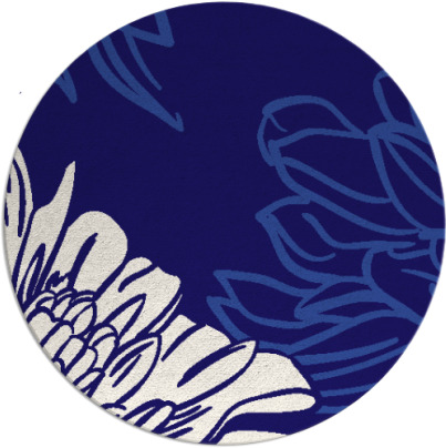 asha rug - item 657747