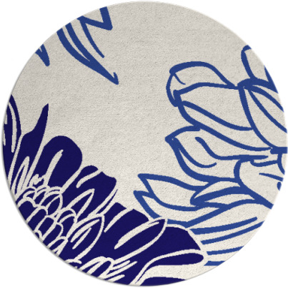 asha rug - item 657748