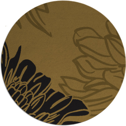 asha rug - item 657757