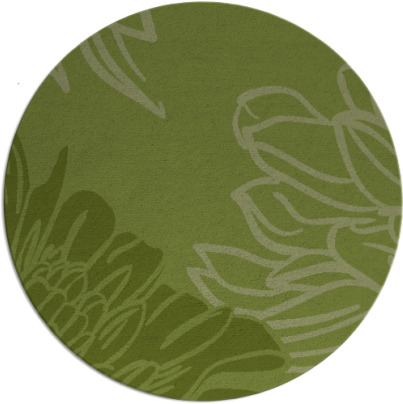 asha rug - item 657765