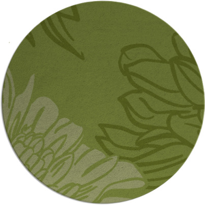 asha rug - item 657767