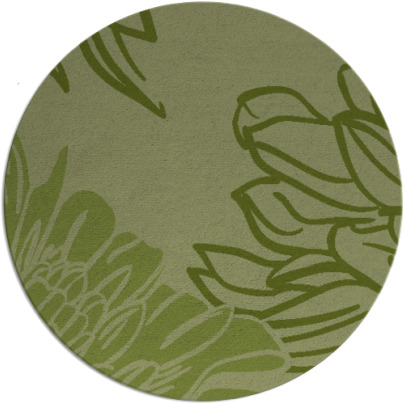 asha rug - item 657768