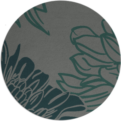 asha rug - item 657770