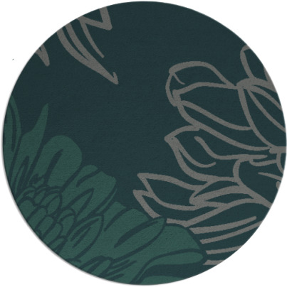 asha rug - item 657771