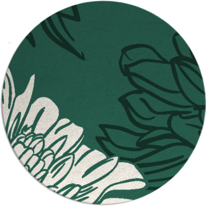 asha rug - item 657774